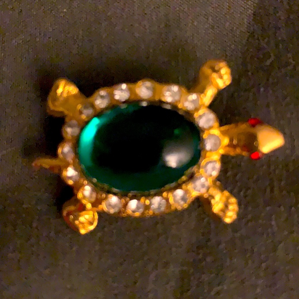 Turtle Brooch